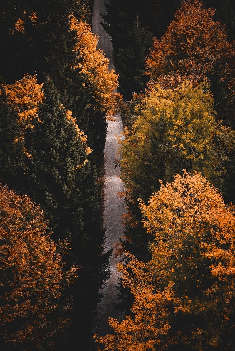Mindful hiking